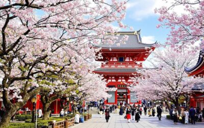 Where to Find the Most Revered Religious Sites in Tokyo