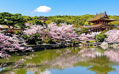 What are the Cultural Highlights of Kyoto?